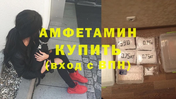 стафф Аркадак