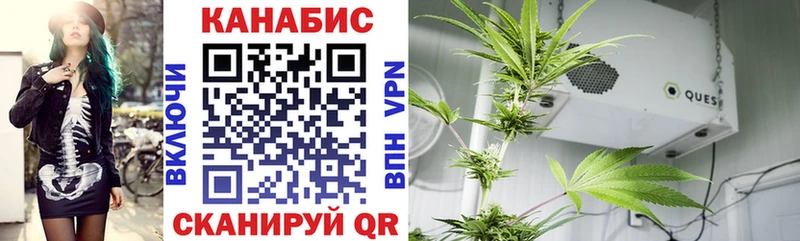 хочу Нововоронеж Конопля тримм
